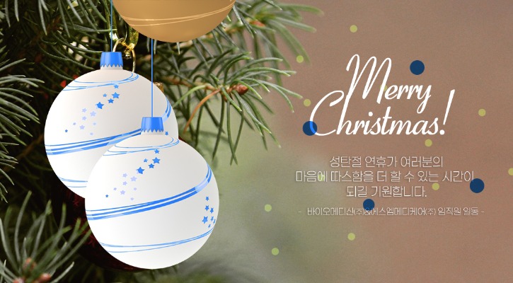 2024_merrychristmas_바이오메디신_에스엠메디케어_홈페이지.jpg